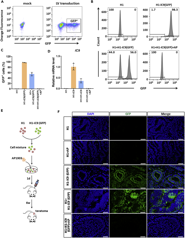 Figure 2