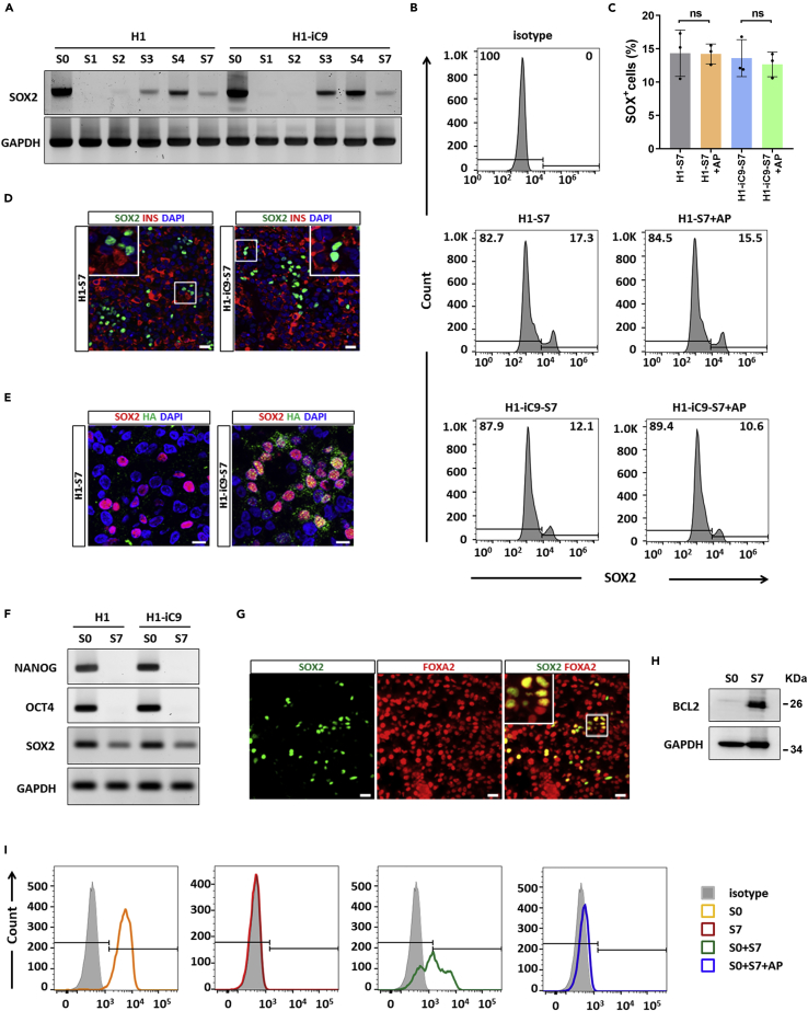 Figure 6