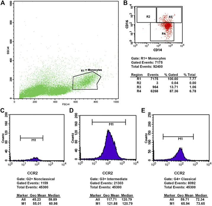 FIGURE 1