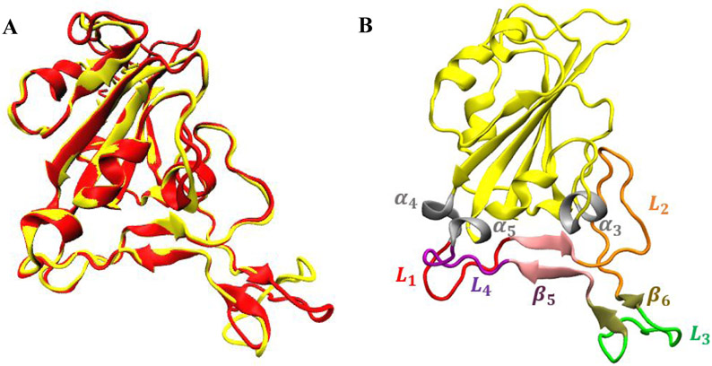 Figure 1.