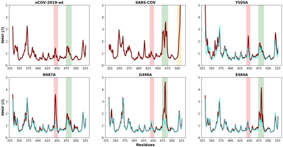 Figure 4)