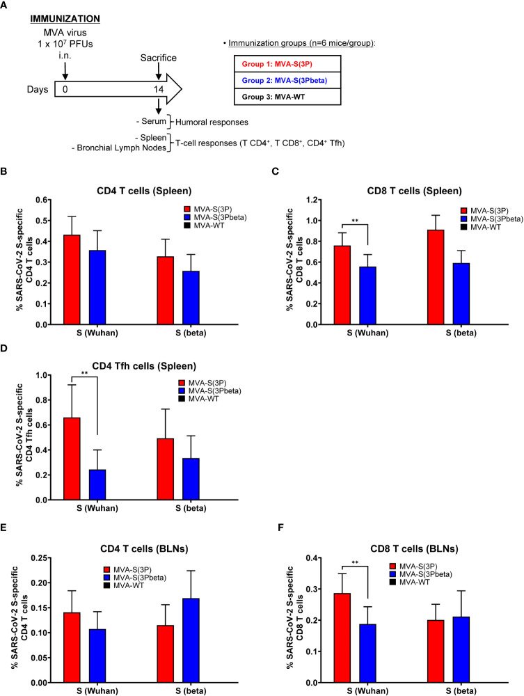 Figure 6