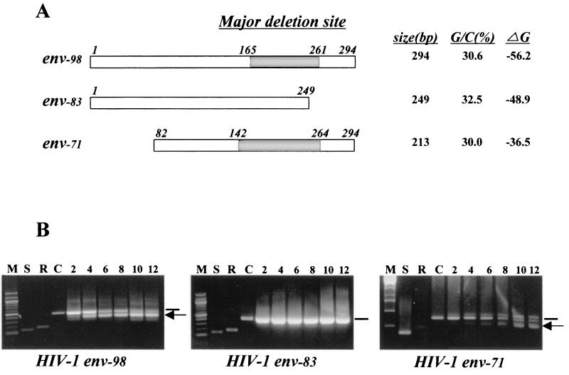 FIG. 4.