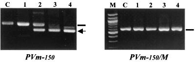 FIG. 7.