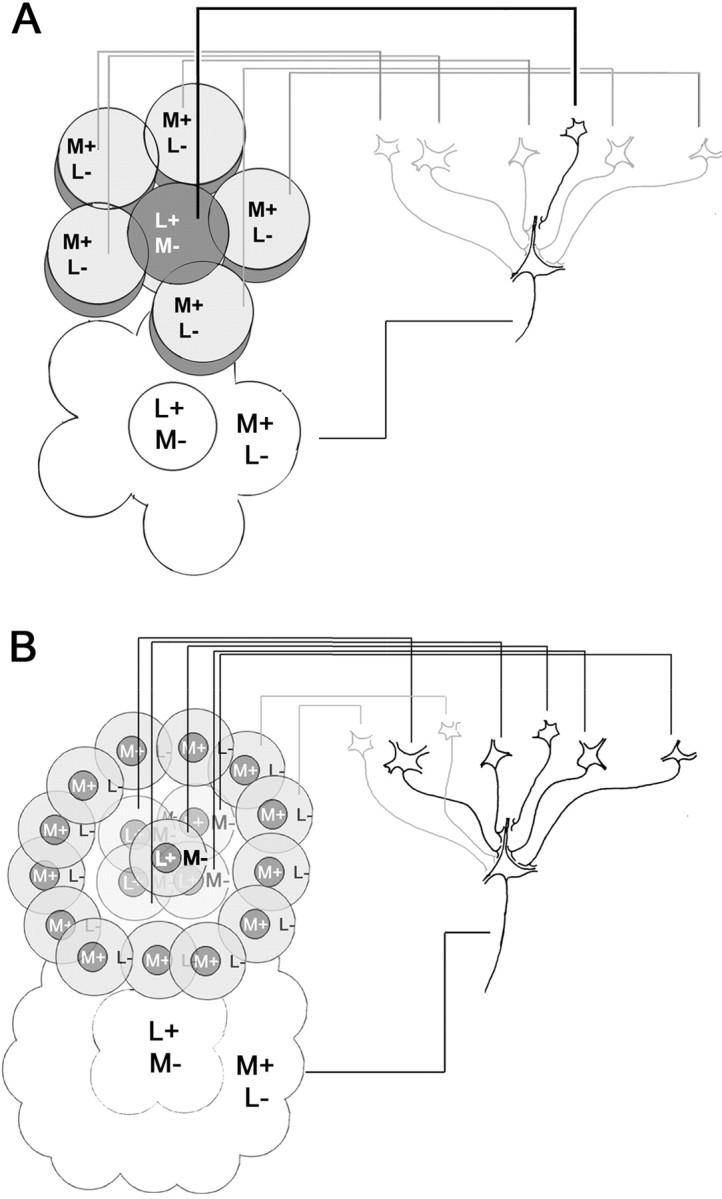 Fig. 12.