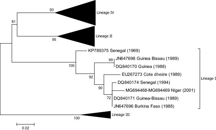 Fig. 5