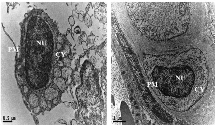 Fig. 4a