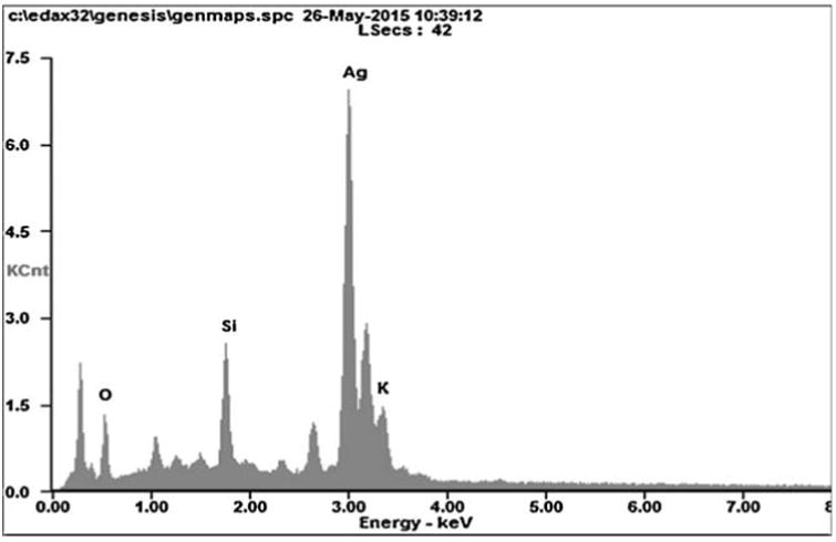 Fig. 2a