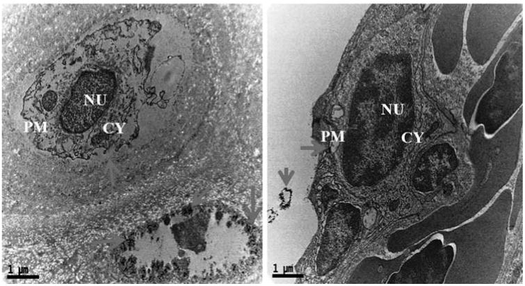 Fig. 4b