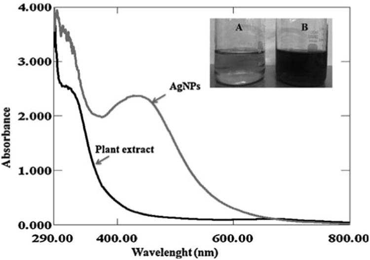 Fig. 1a