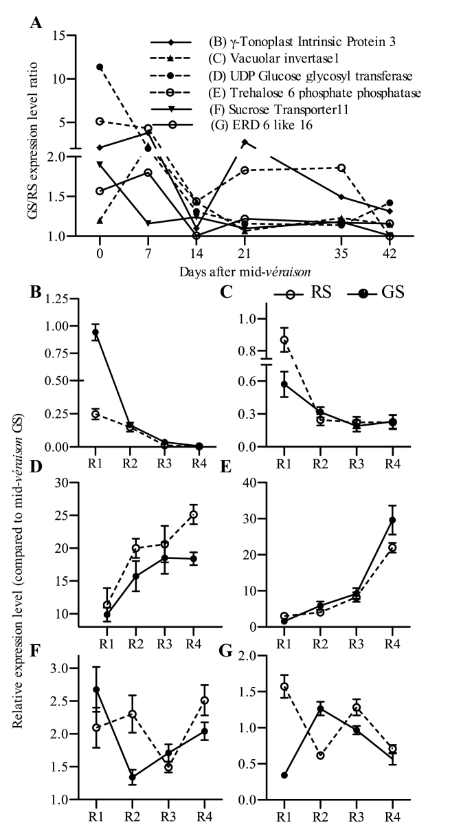 Fig. 7.