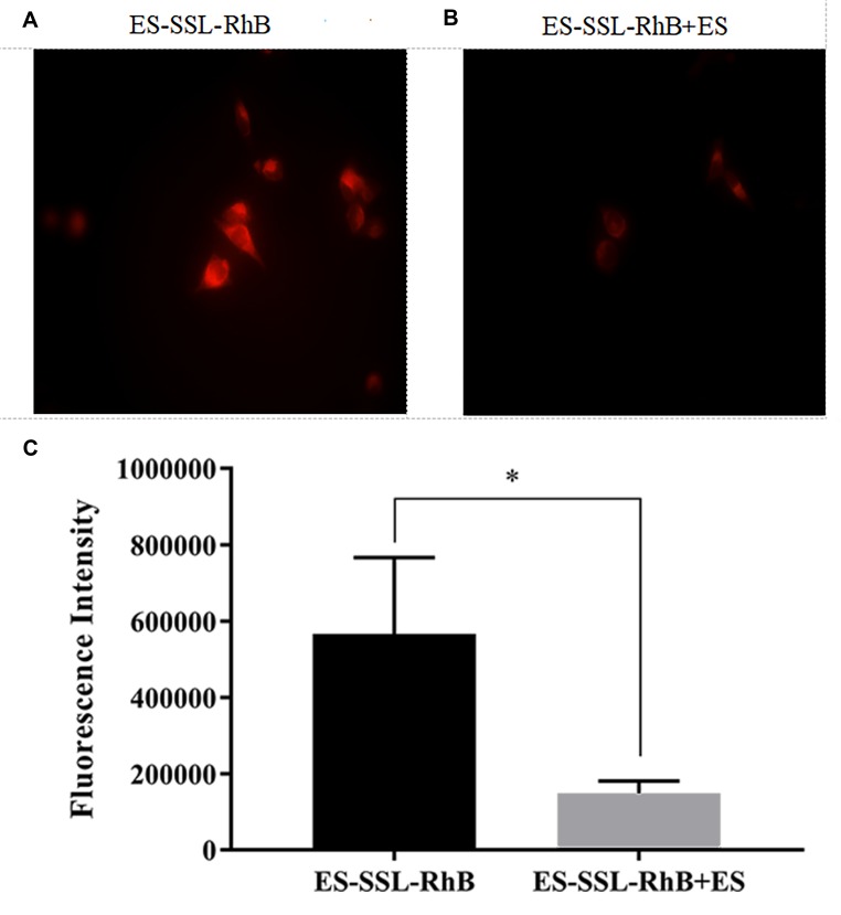 Figure 6