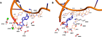 Figure 20