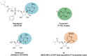 Figure 17