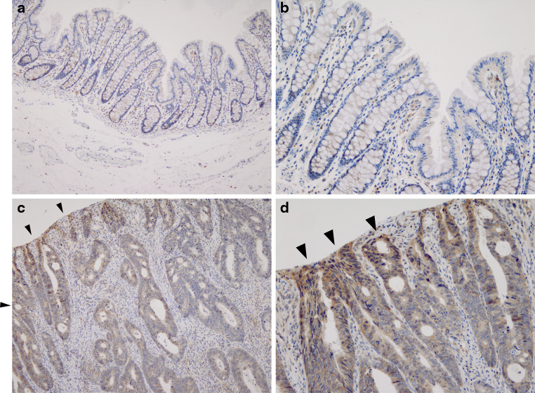 Fig. 2