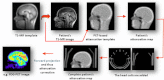 Fig. 2