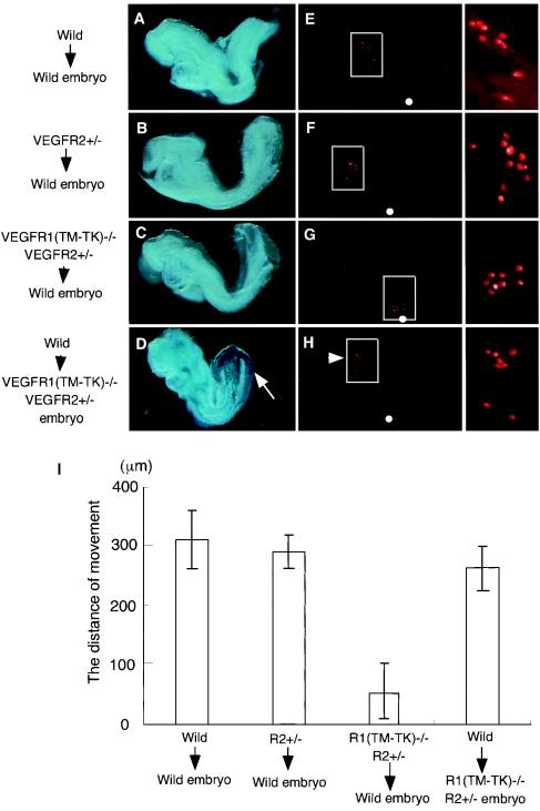 FIG. 6.