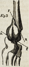 257