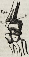 257