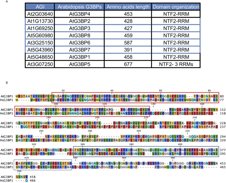 Figure S1.