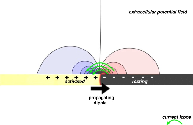 Fig. 4