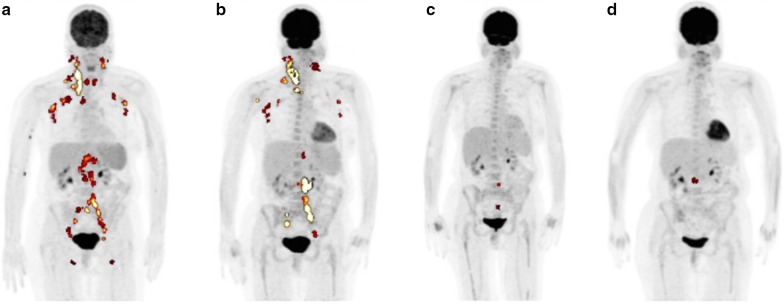 Fig. 4