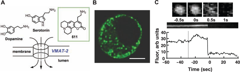 Fig. 1.