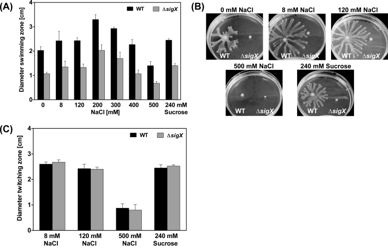 FIG 11