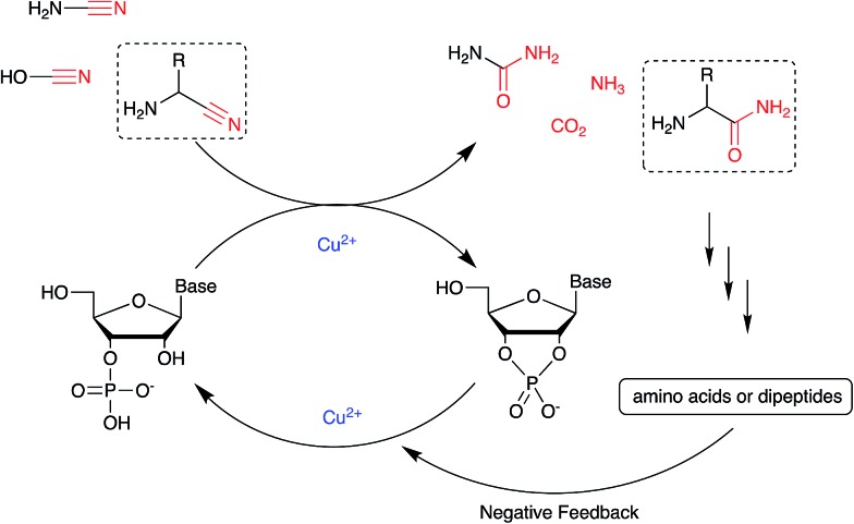 Scheme 3