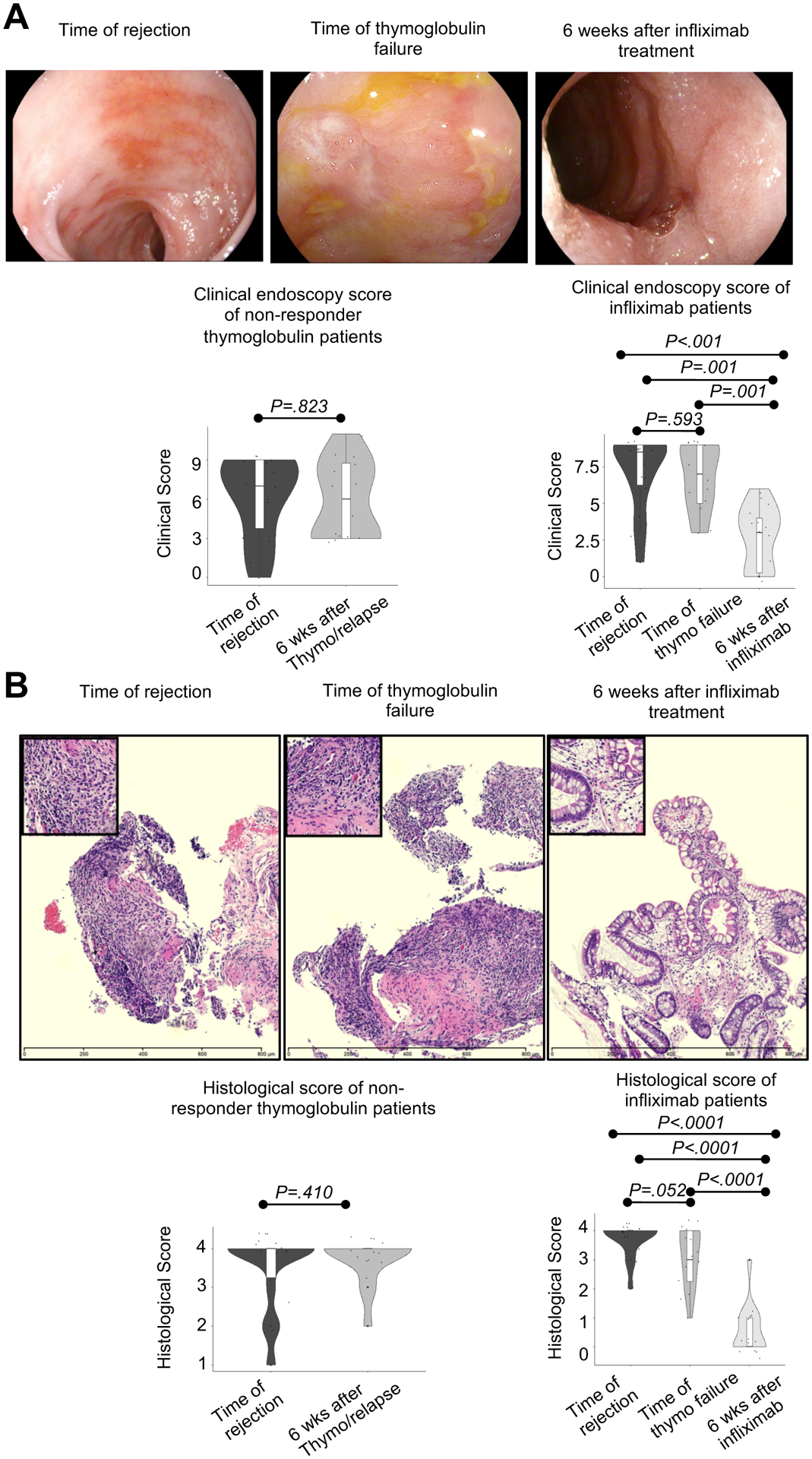 Figure 6: