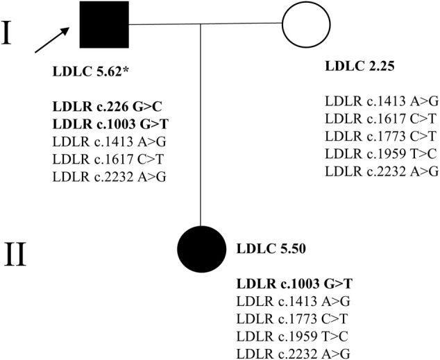 FIGURE 1