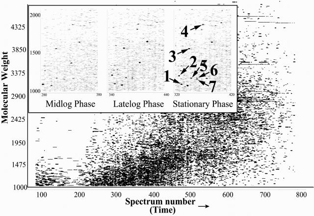 Fig 1.