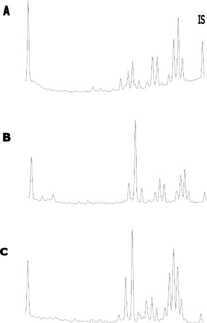 FIG. 2.