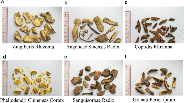 Fig. 1