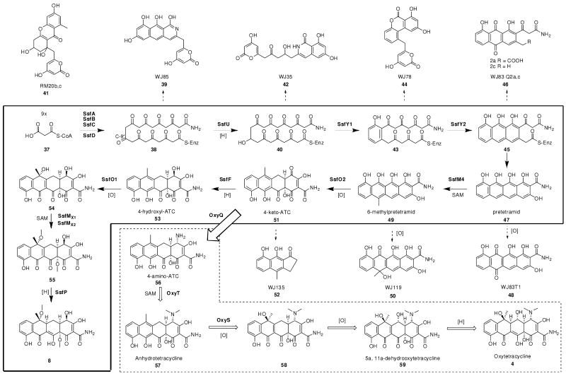 Scheme 4