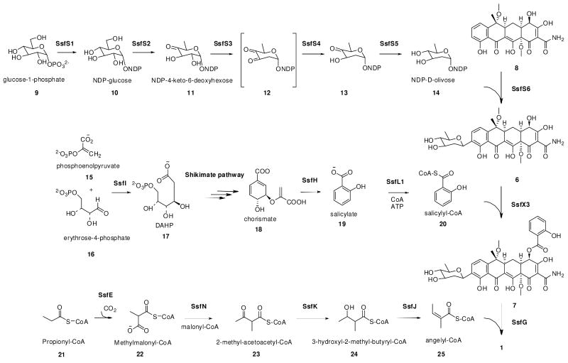 Scheme 2