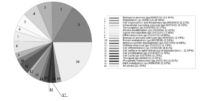 Fig. (3). Gene Ontology (GO) analyses: Biological Process.