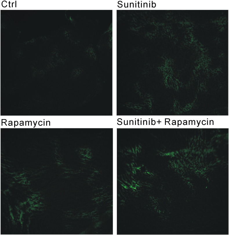 Figure 5