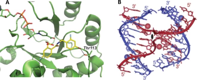Figure 113