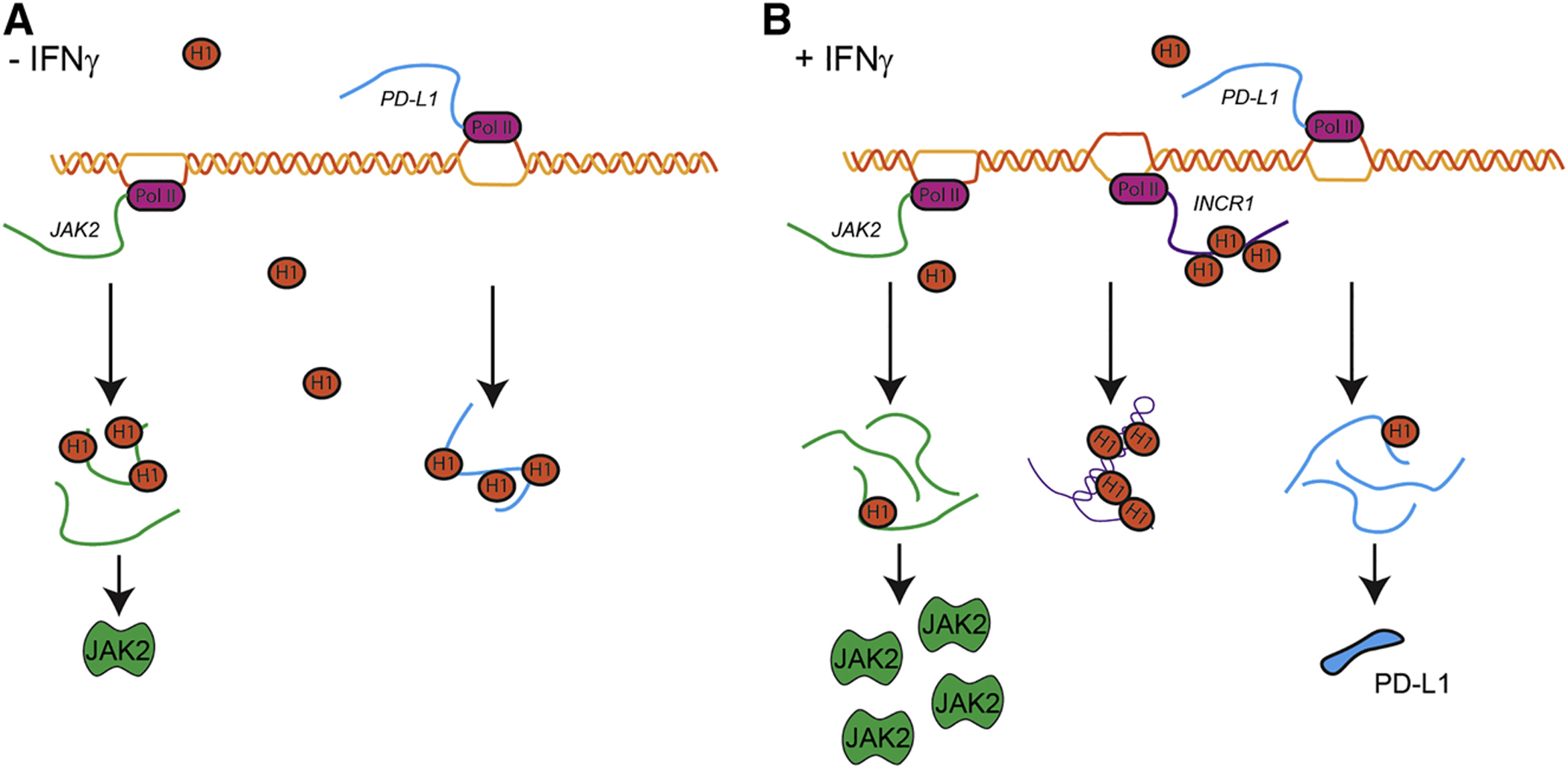 Figure 7.