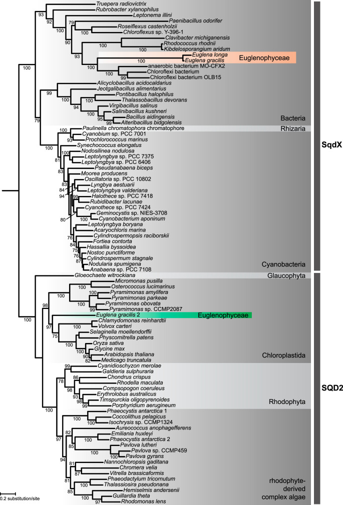 FIG 3