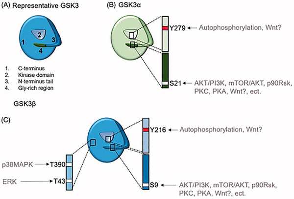 Figure 1: