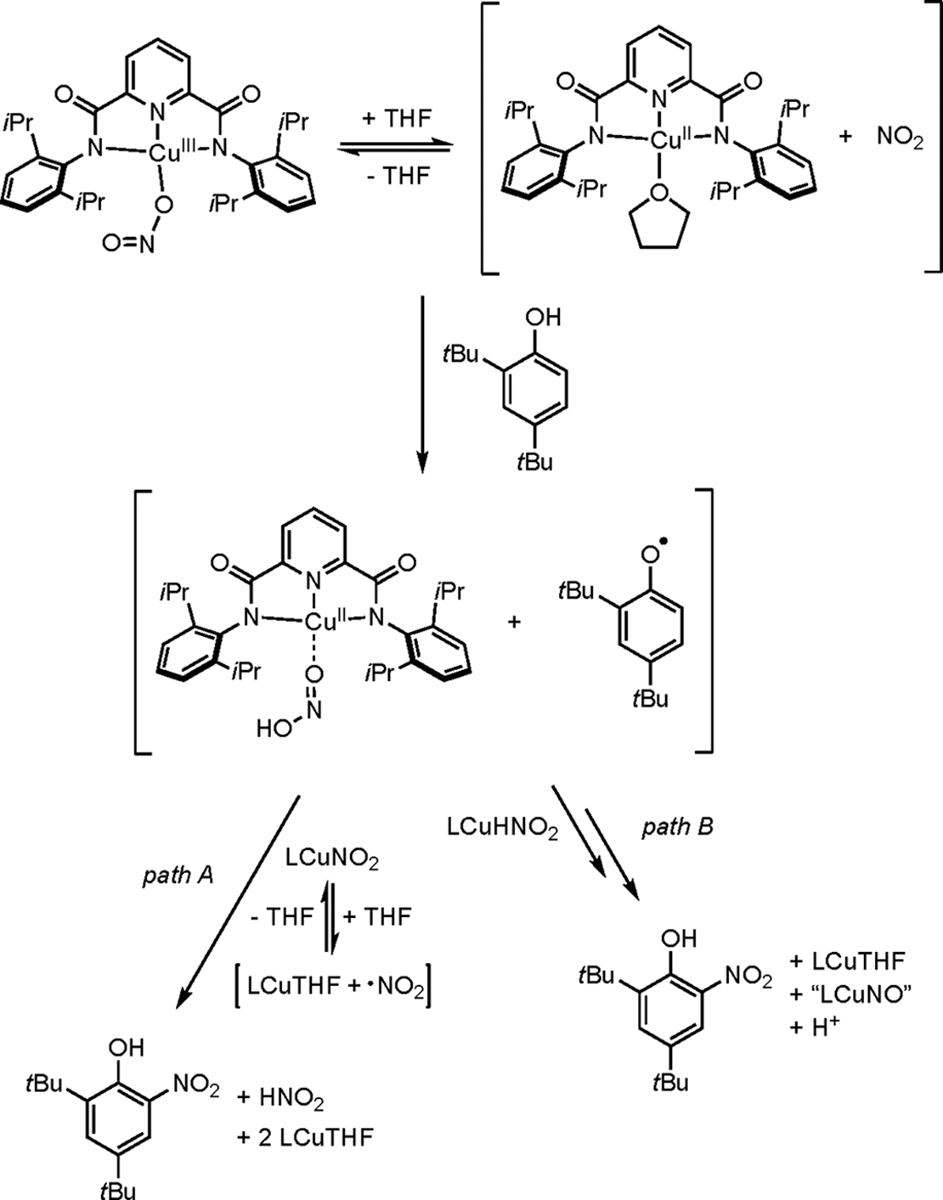 Scheme 3.