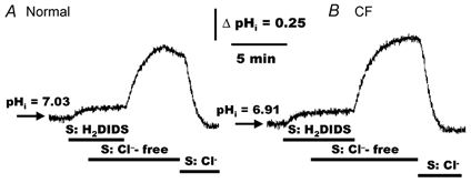 Figure 8