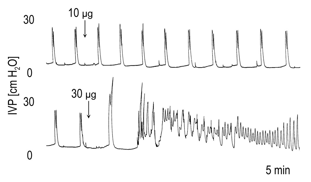 FIG. 5