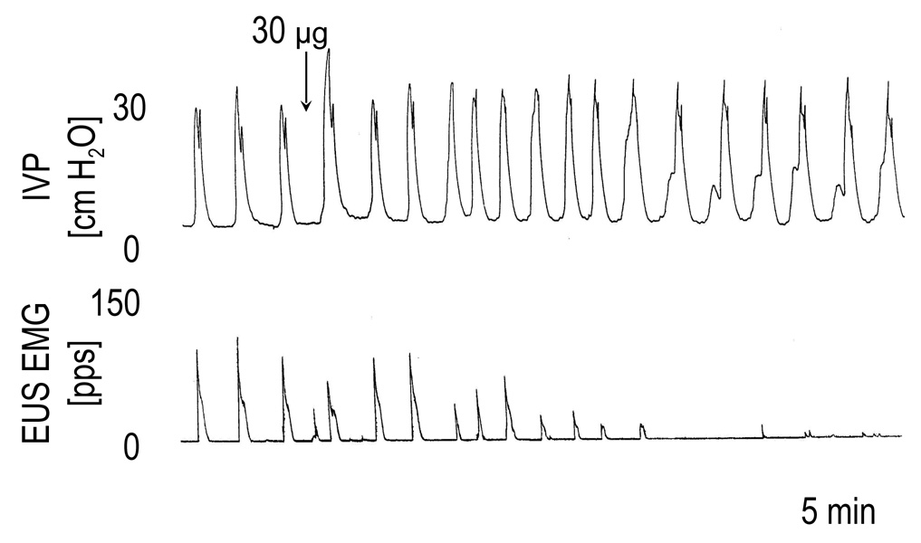 FIG. 6