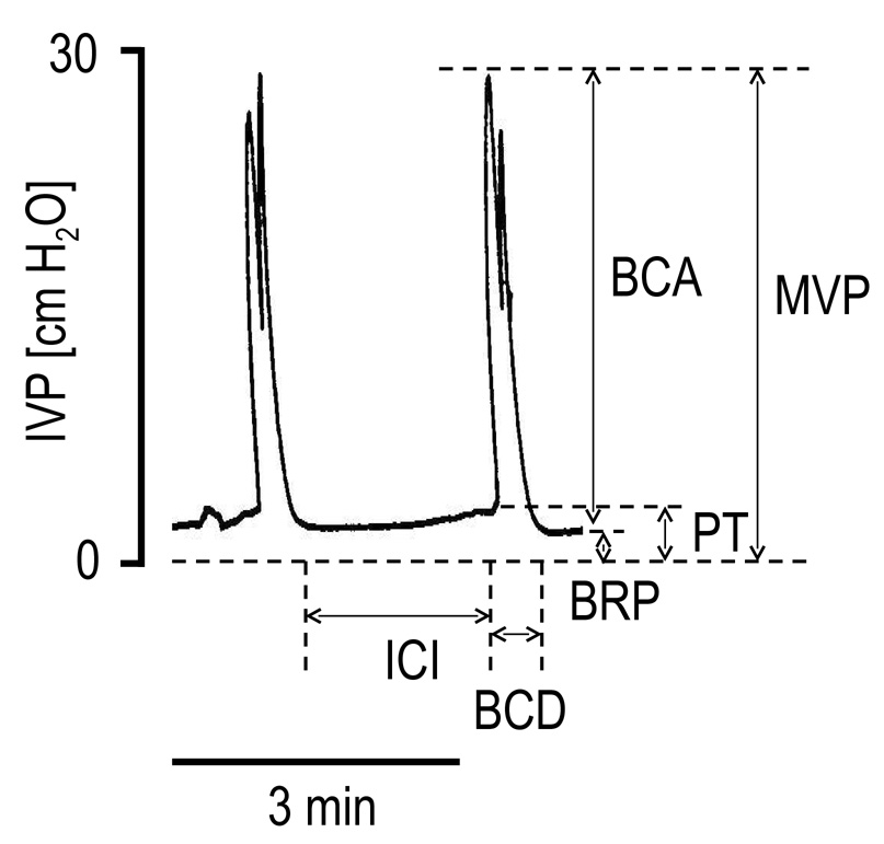 FIG. 1