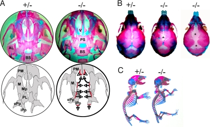 Fig. 3.