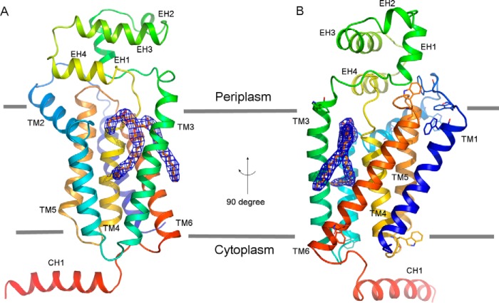 FIGURE 3.