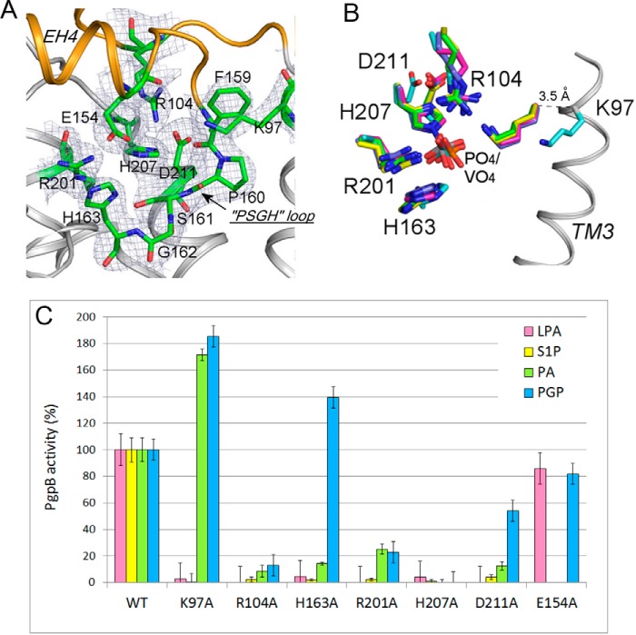 FIGURE 4.